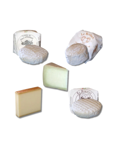 Le Sapalet Deluxe Cheese Box